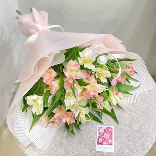 Стойкая альстромерия двух оттенков 🎀