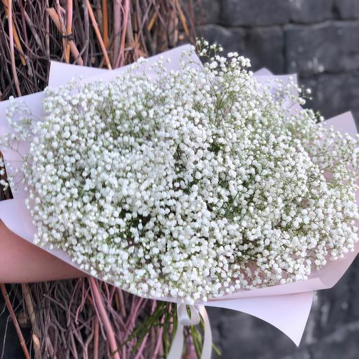Ramo de gypsophila