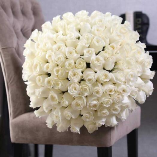 101 white roses