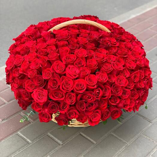 101 Roses