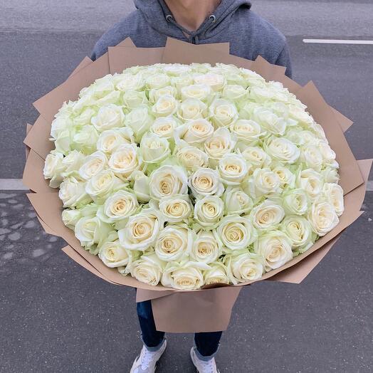 Monobook de 101 rosas