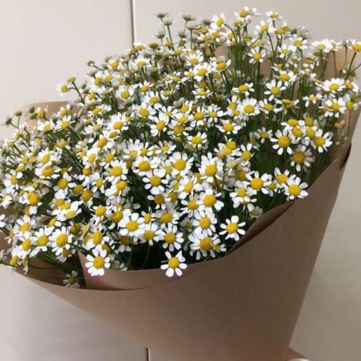 Bouquet of "daisies"