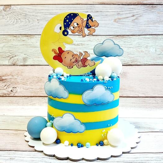 Cake for twins