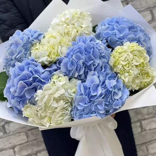Gartensia mix