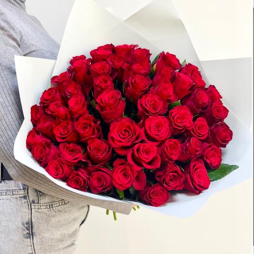 51 rosas rojas por paquete