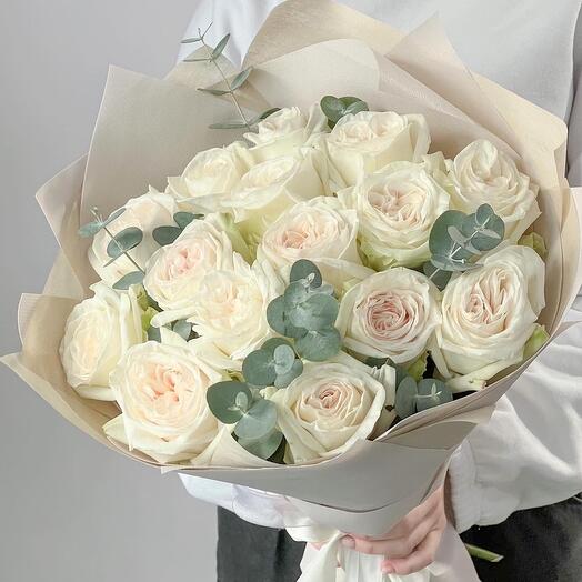 Fragrant Pink Ohara Roses