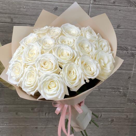 17 blancos