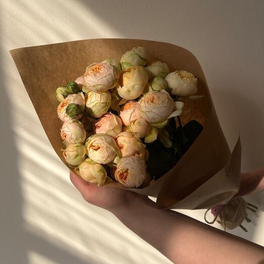 Peony roses