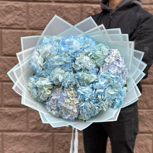 Hortensia "nube Azul"❄️