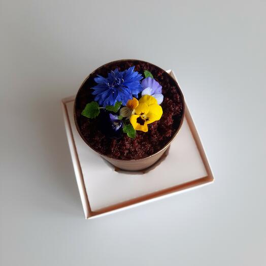 Cake "Pot of flowers" Cherry/Chocolate (completely edible)