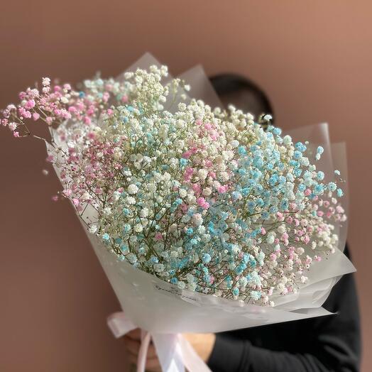 Ramo de gypsophila"Rainbow" (gypsophila de color)