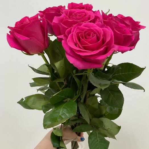 Rosa Floyd 7 piezas