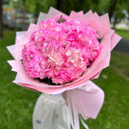 Ramo de 7 hortensias Exuberantes