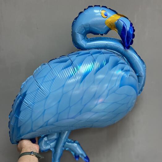 Pelican