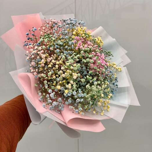 Multicolored gypsophila