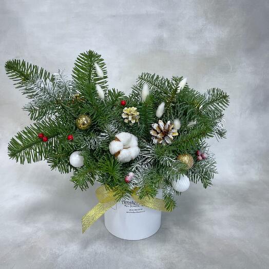 Композиция в коробке из нобилиса в белом и золоте