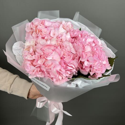 Hortensias Rosadas