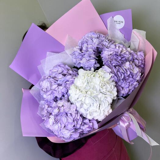 A magnificent bouquet of hydrangeas