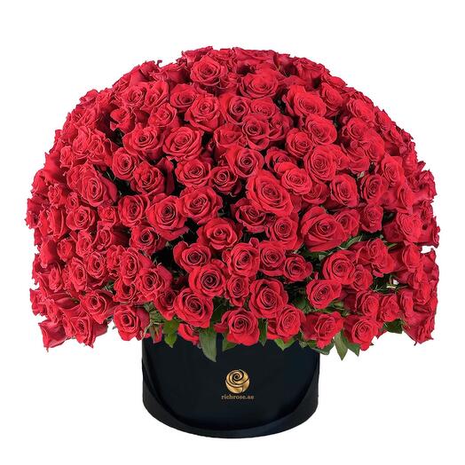 Red Roses Premium Box Arrangment