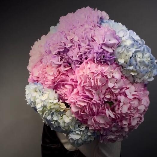 Евро из гортензии