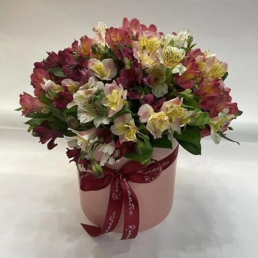 A box of 25 alstroemeria mix