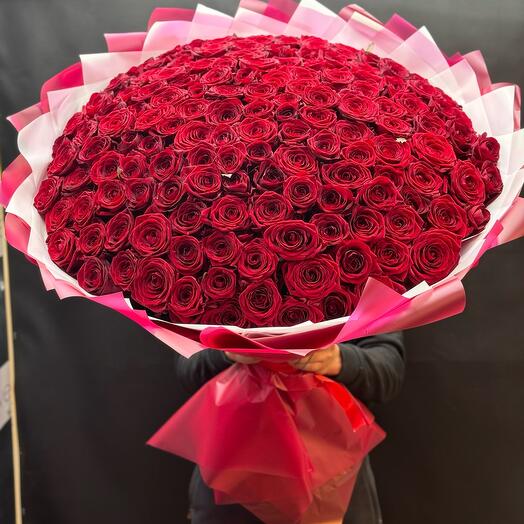 151 красная Роза 🌹