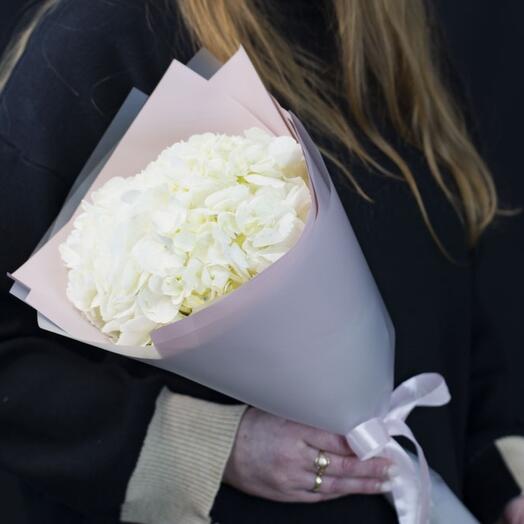 White Hydrangea in designer packaging