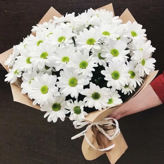 Mono chrysanthemum