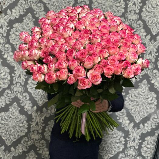 101 pink roses are gorgeous