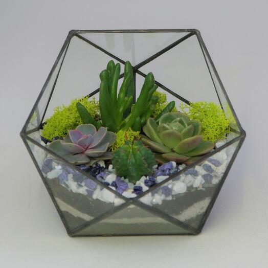 The icosahedron S
