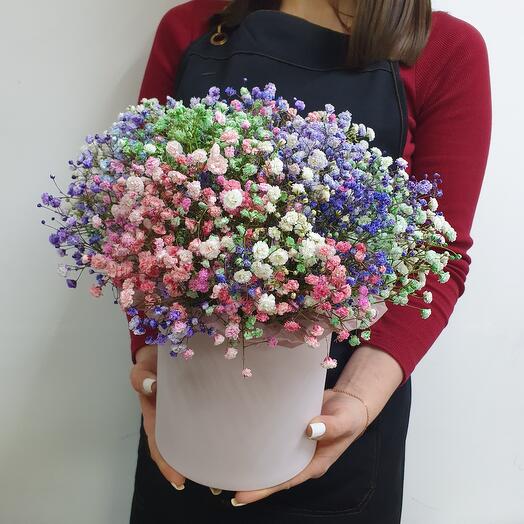 Caja de gypsophila (M)