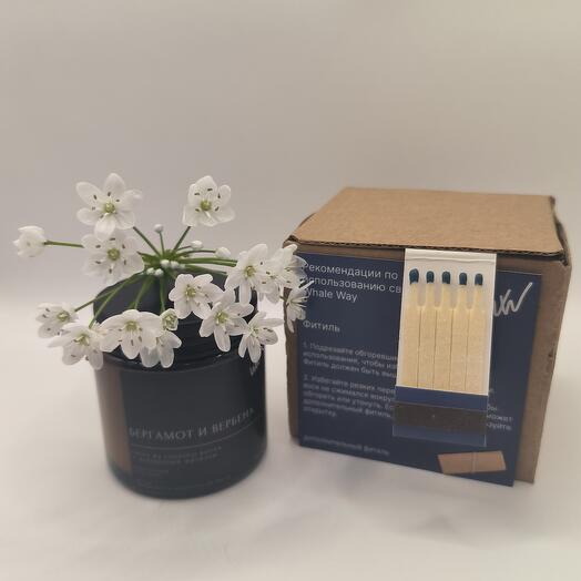 Whale way aromatic candle "Bergamot and verbena"