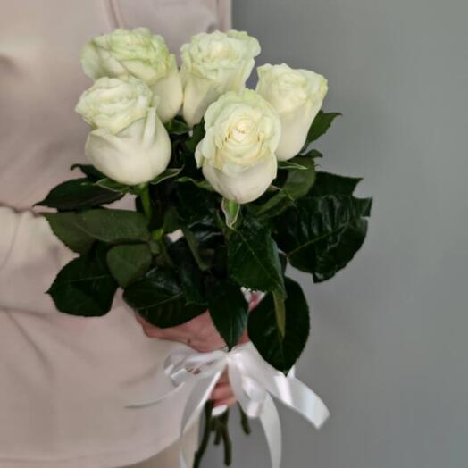 Роза белая
