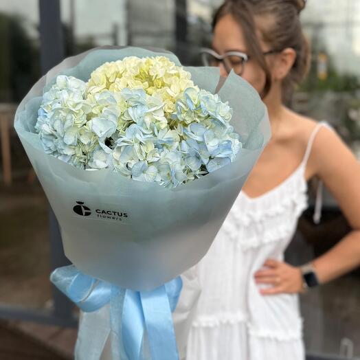 Облачко гортензий