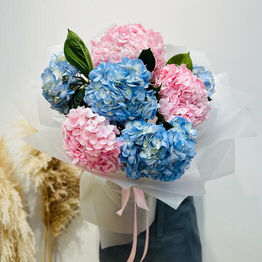 Bouquet of pink and blue hydrangeas (02010216)