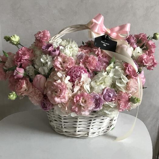 Маленькая Звездочка
