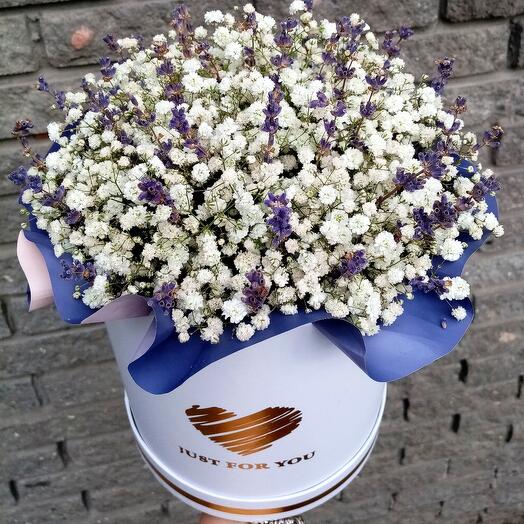 Коробка с гипсофилой и лавандой