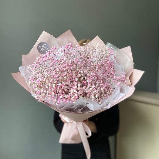 Nube rosa de gypsophila🌸