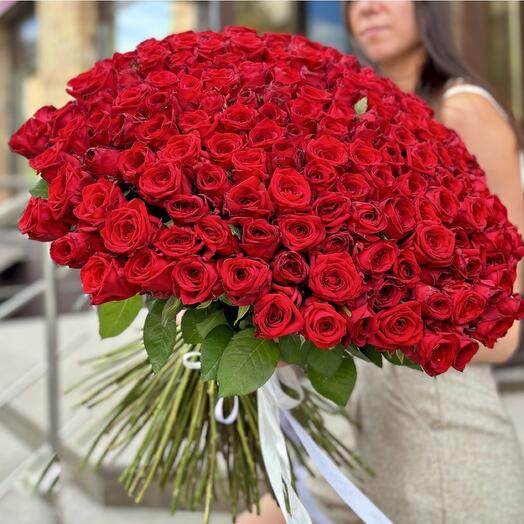 Букет из 201 роз