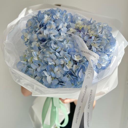 Букет прекрасных голубых гортензий 🦋