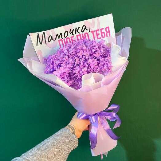 Hortensia estabilizada