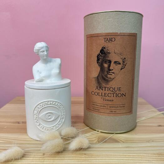 TAKO home Antique Collection Дублвый мох и амбар»