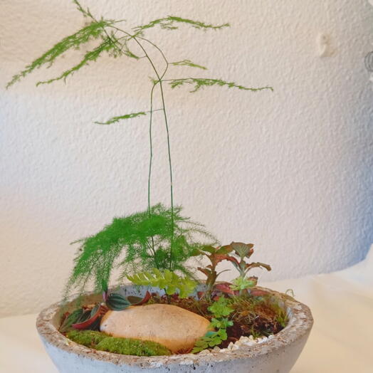 Kusamono Zen: Jardin en miniatura