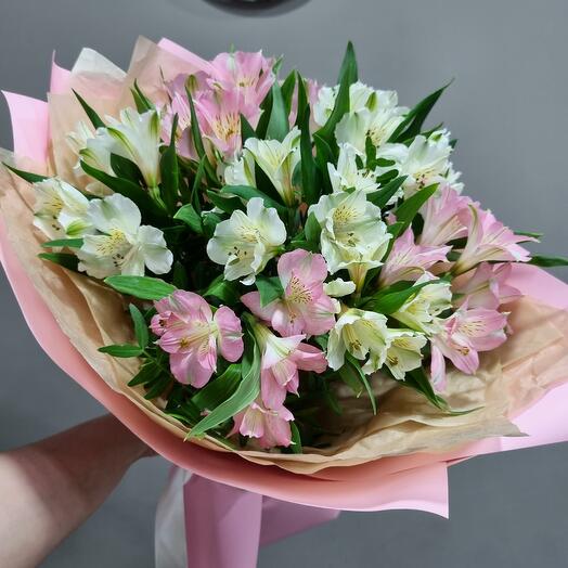 Gentle alstroemeria