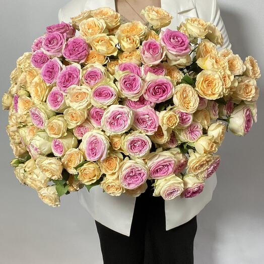 Роза кустовая