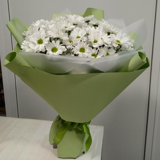 Родные просторы( хризантема кустовая)