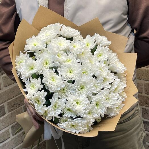 Daisies bush 25