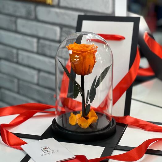 Оранжевая «Mini» роза в кробе в подарочной коробке с Вау эффектом /21 см