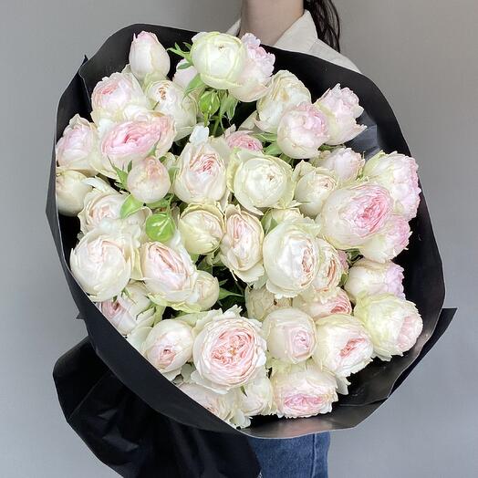 Pale pink roses