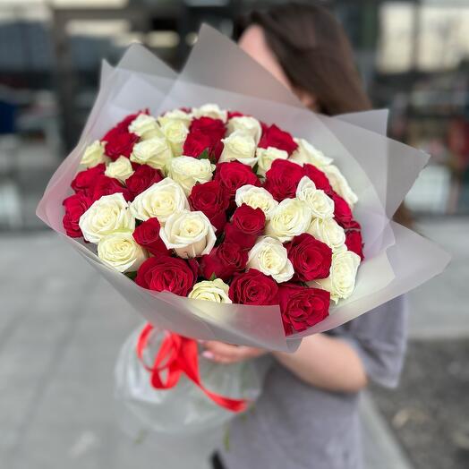51 красная и белая Роза